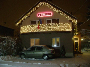 Pensiunea Miorita Arad